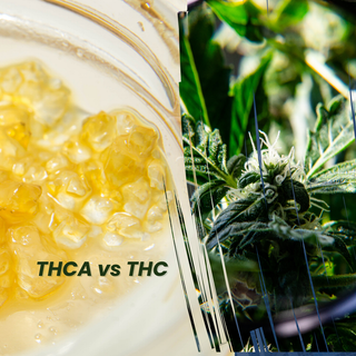 THC vs THCa: Which is Better for You?